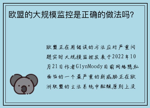 欧盟的大规模监控是正确的做法吗？