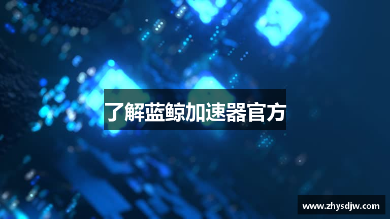 了解蓝鲸加速器官方